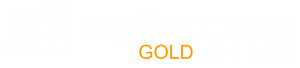NopCommerce Gold Partner